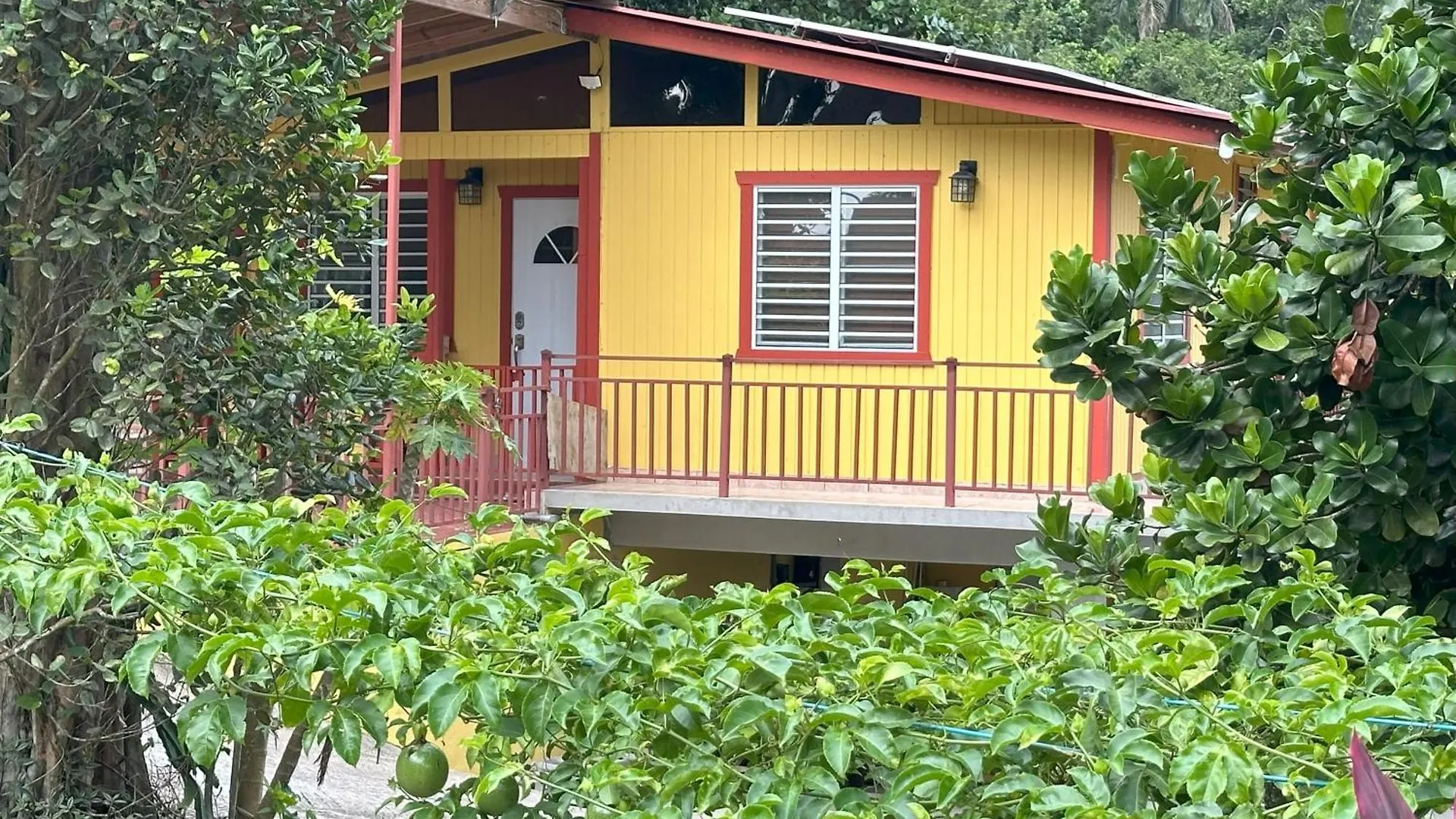 La Casita Amarilla En Utuado, Puerto Rico Villa Utuado