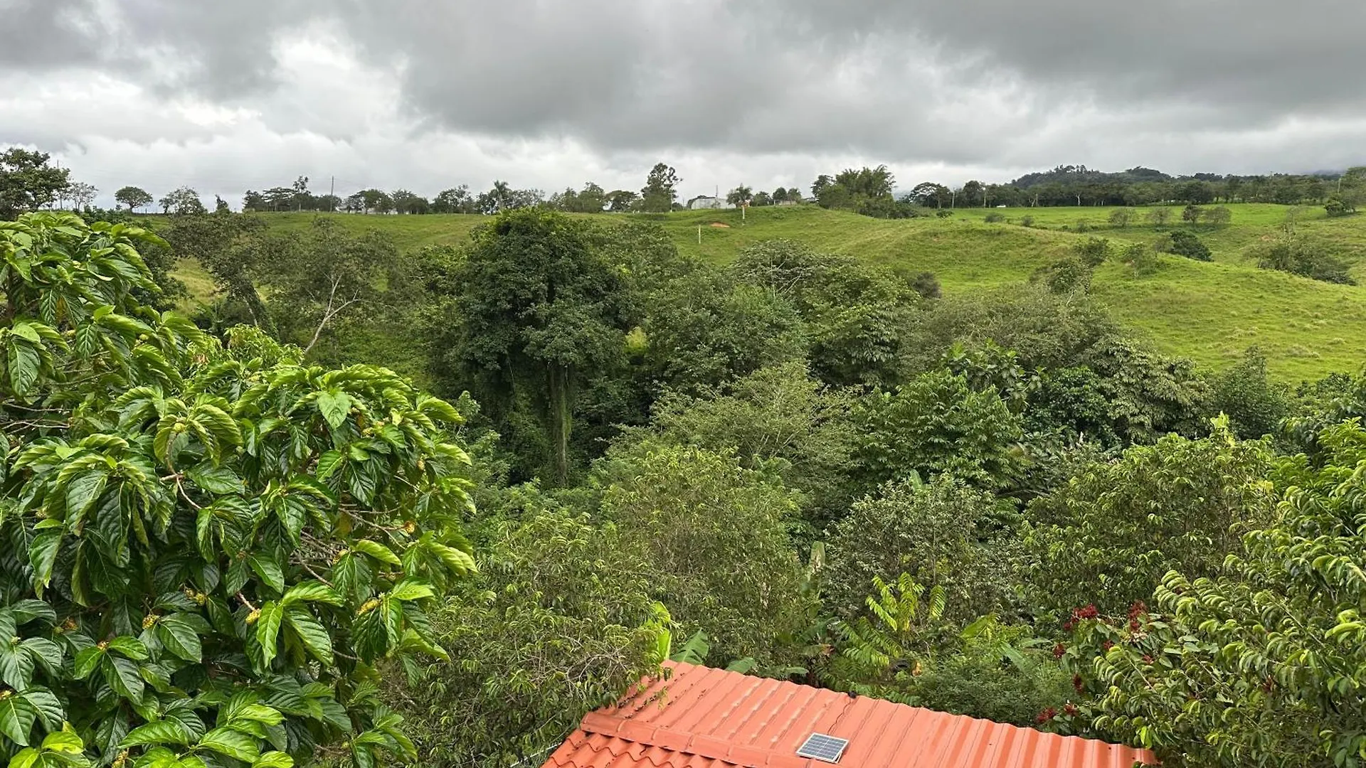 Вилла La Casita Amarilla En Utuado, Puerto Rico Пуэрто-Рико